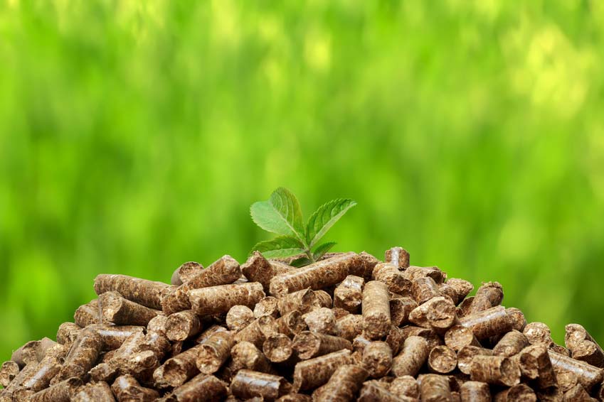 La biomasa como fuente de energía renovable